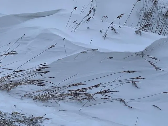 Gulfhof Polder72 Polder72 6 Duidelt * Dornum